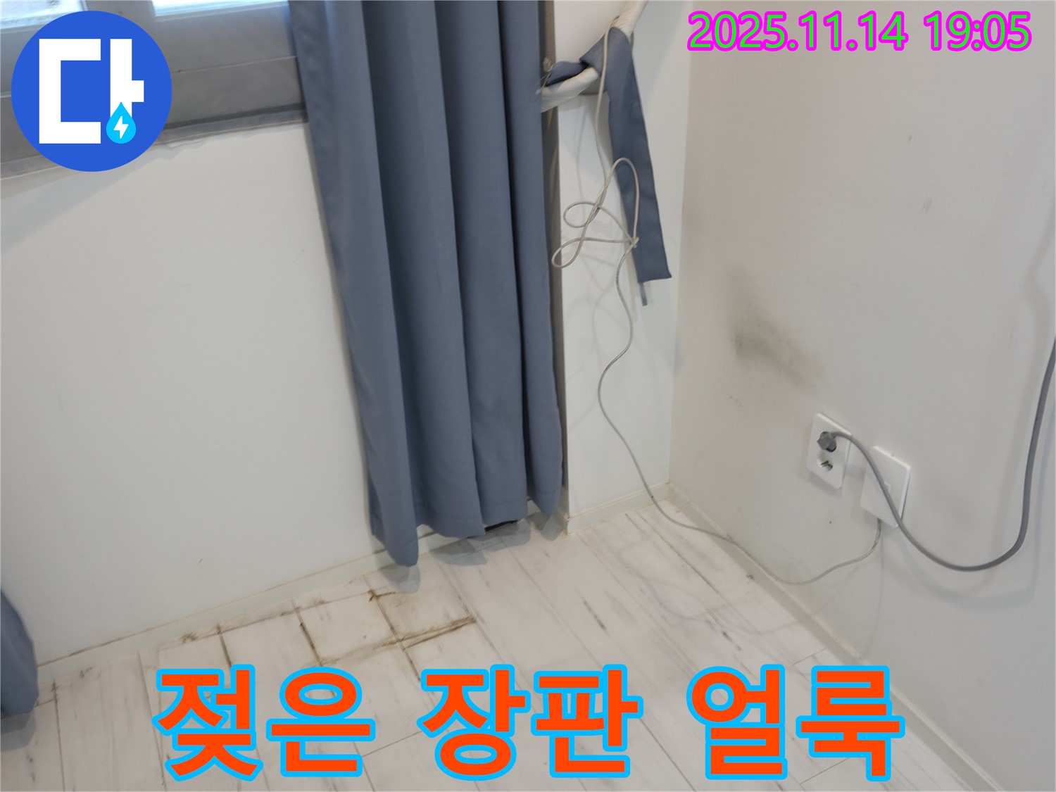 신림동 누수 - 젖은 장판과 벽 모서리 얼룩 - 누수 초기 진단