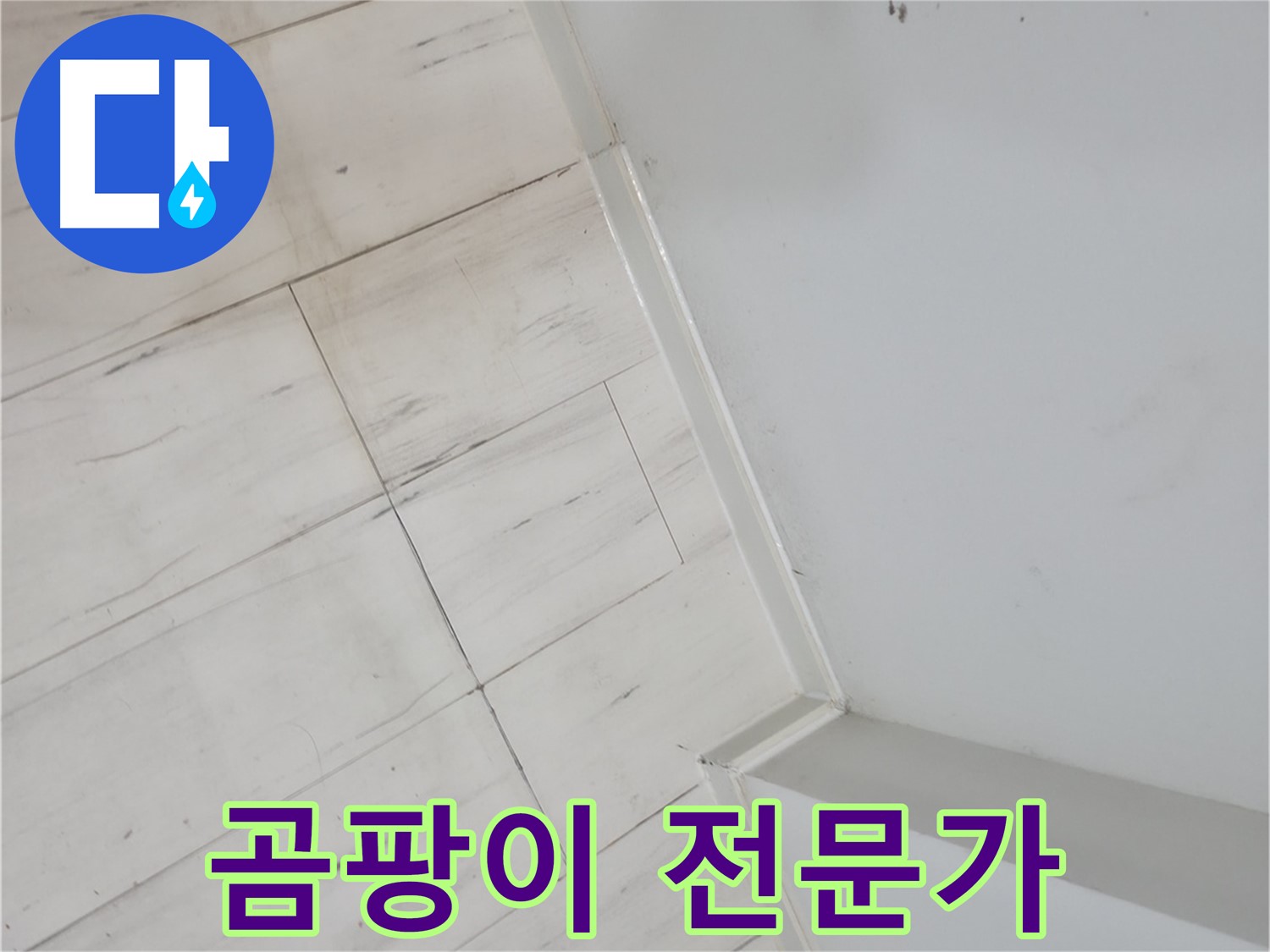 신림동 젖은 바닥 곰팡이 누수 - 오랜 경험과 노하우의 전문가