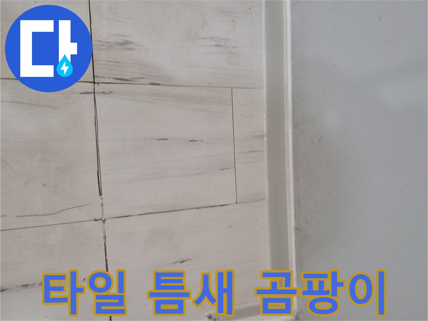 타일 틈새 - 곰팡이 누수 신호
