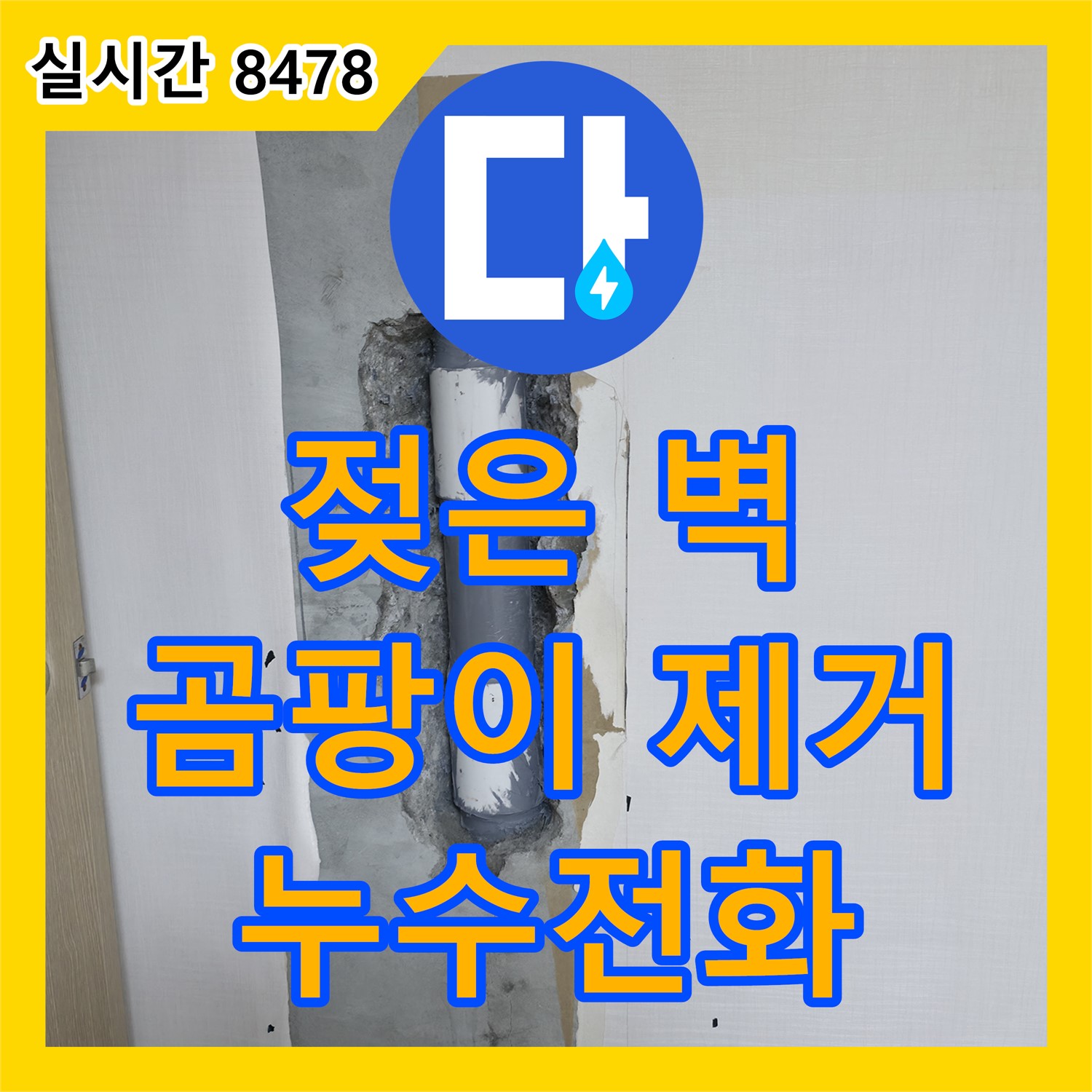 성북 누수전화번호, 젖은 벽 곰팡이 문제, 완벽 건조 및 제거