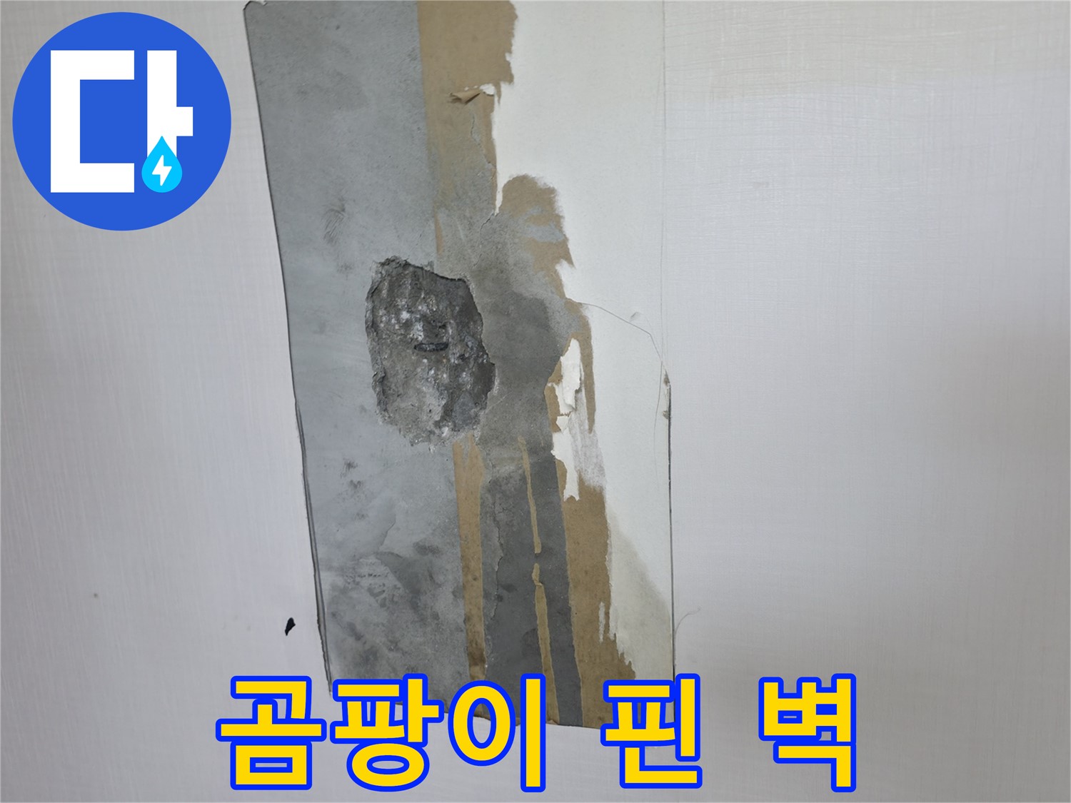 성북구 성북동 누수 - 곰팡이 핀 벽 - 누수 해결이 우선입니다
