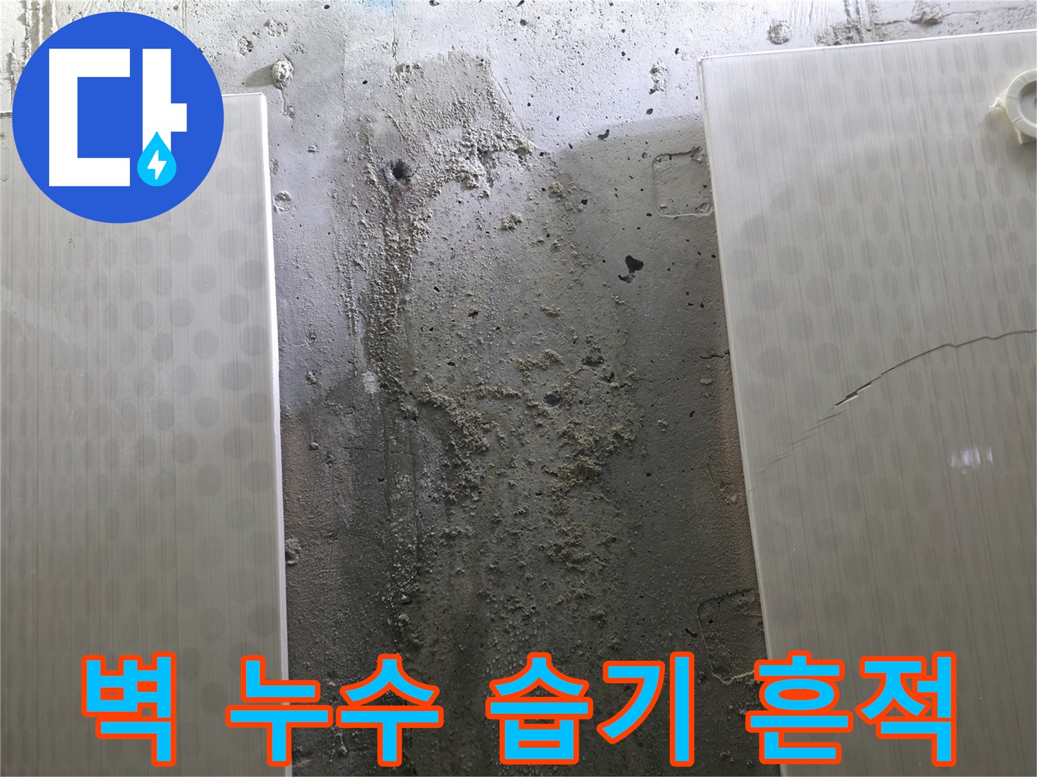 정릉동 스카이힐스테이 벽 누수 습기 흔적 진단 - 곰팡이 발생 가능성