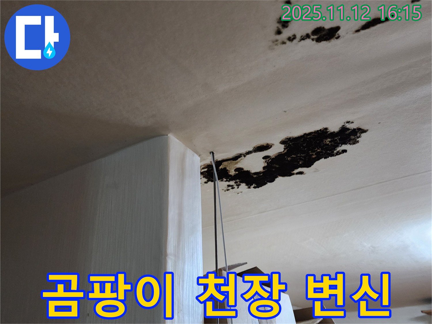 곰팡이 천장 - 쾌적한 공간 변신 - 포천 군내면 구읍리 누수 전문가