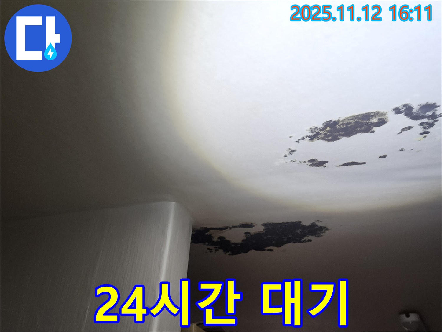 구읍리 누수 - 곰팡이 핀 천장 긴급 점검, 누수 해결 24시간 대기