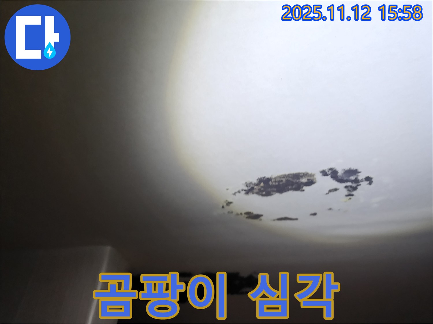 군내면 - 곰팡이로 얼룩진 천장 누수 현장
