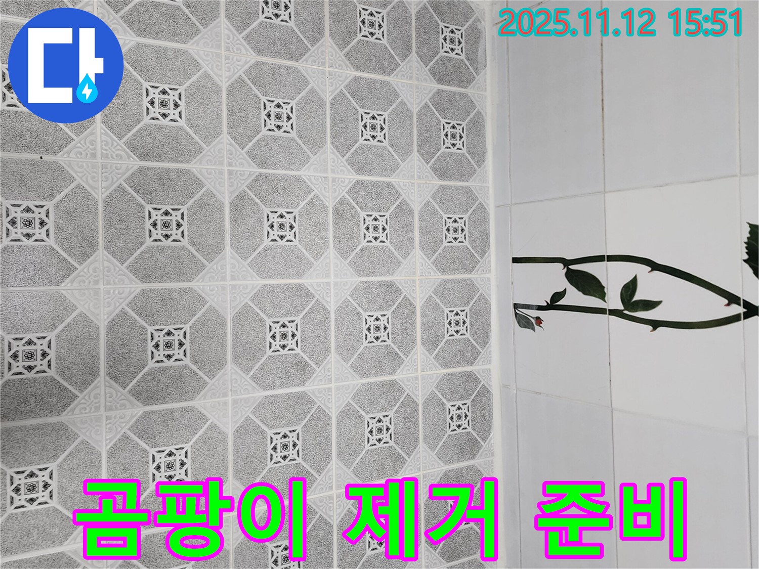 군내면 구읍리 욕실 곰팡이 - 곰팡이 제거 전 준비 사항