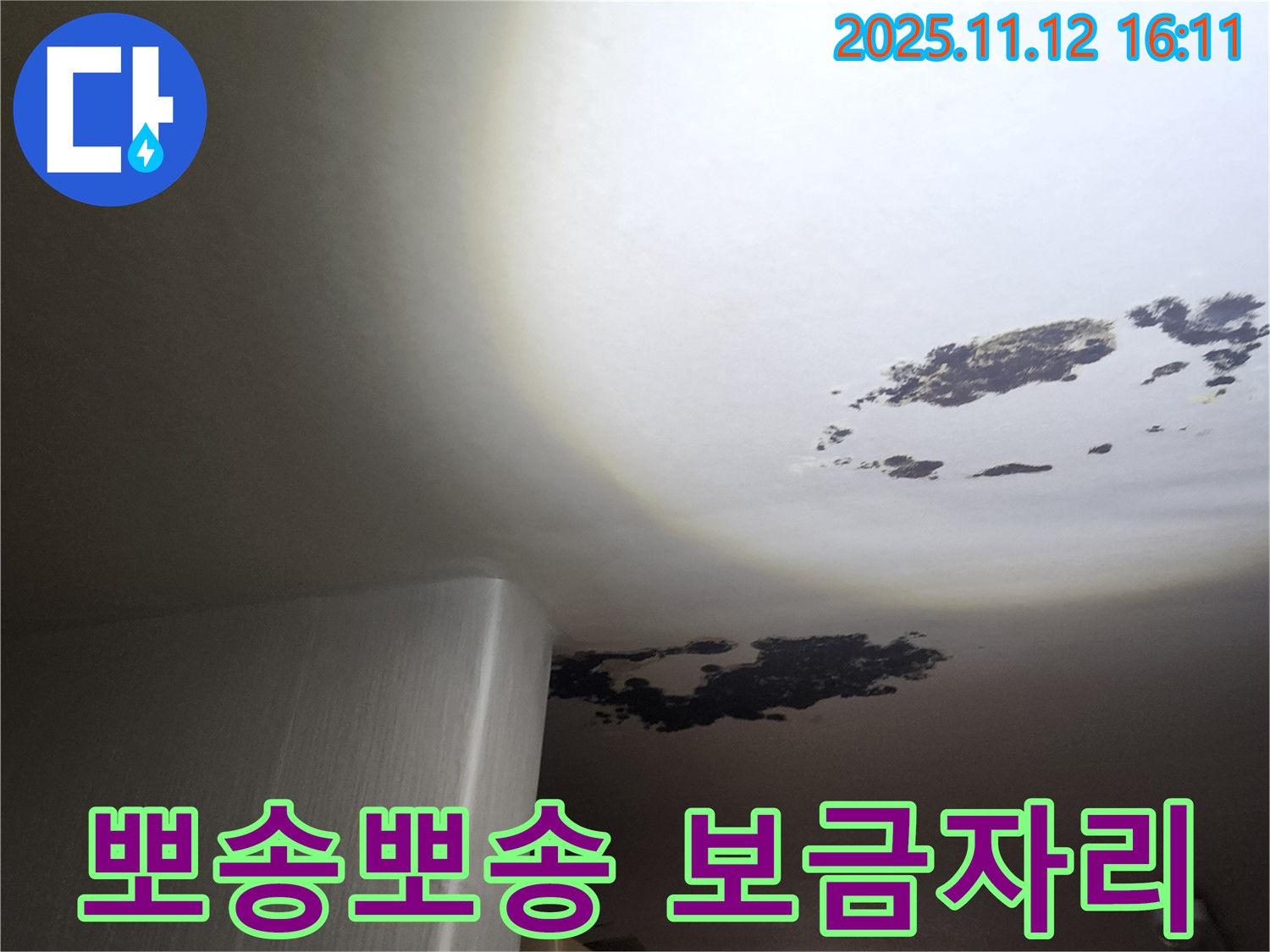군내면 누수 - 곰팡이 & 누수 제로, 뽀송뽀송 보금자리
