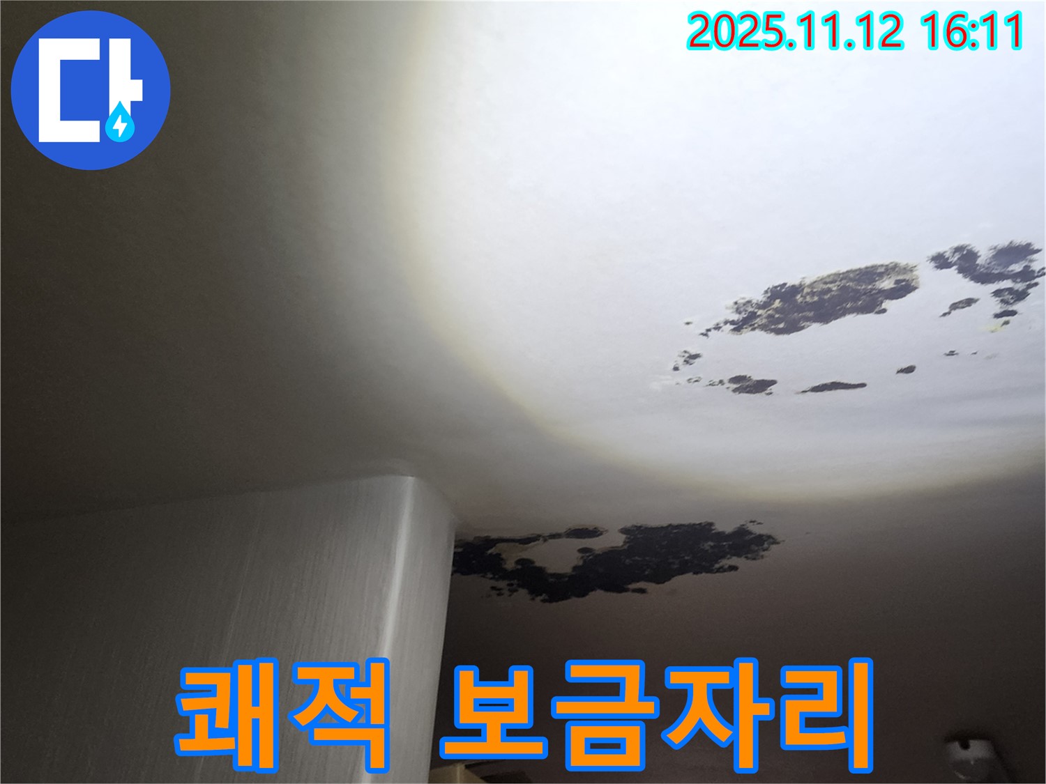 군내면 누수 - 곰팡이 천장에서 쾌적한 보금자리로 변신