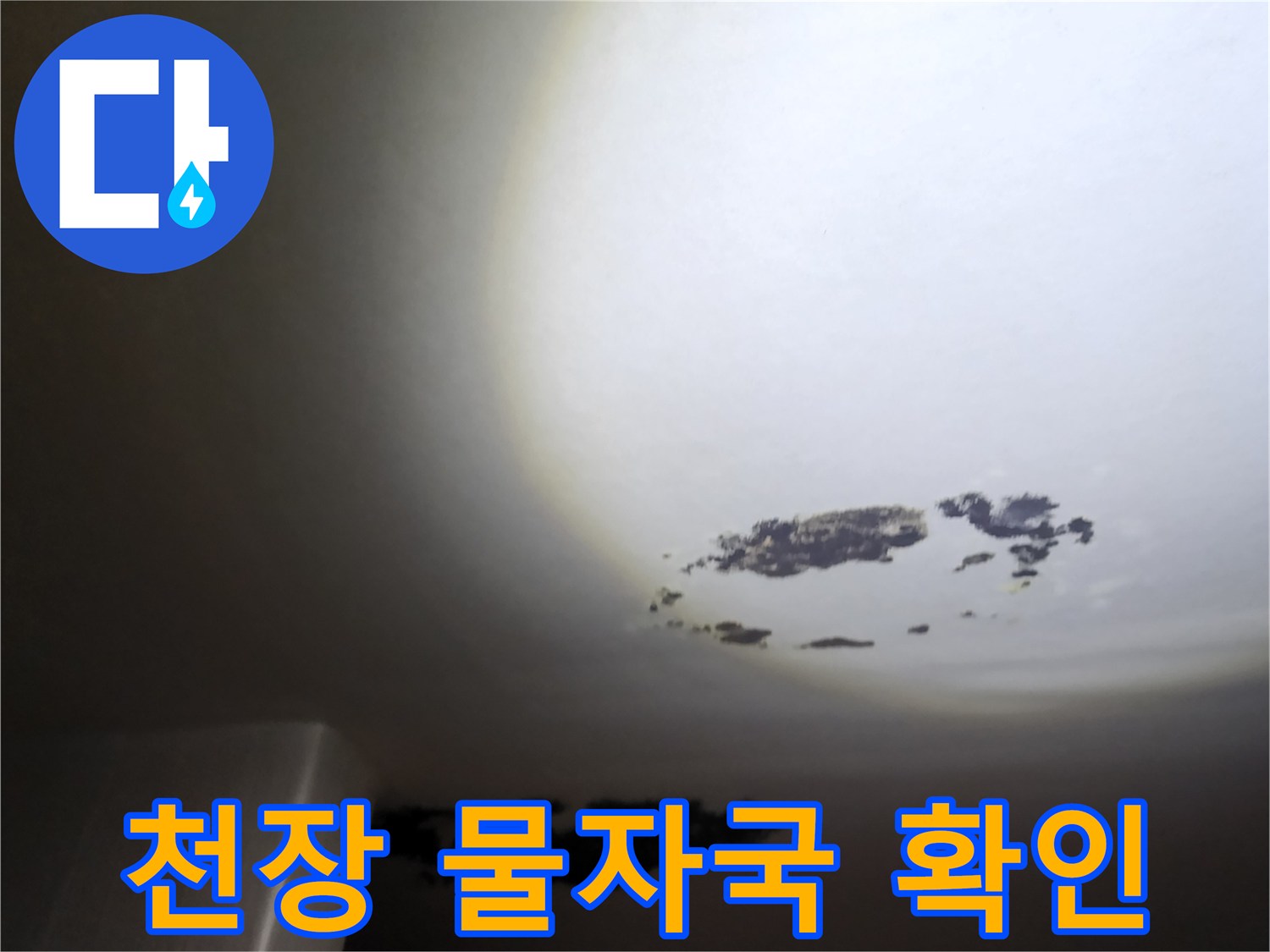 누수로 인해 변색된 천장 마감재와 곰팡이 부위