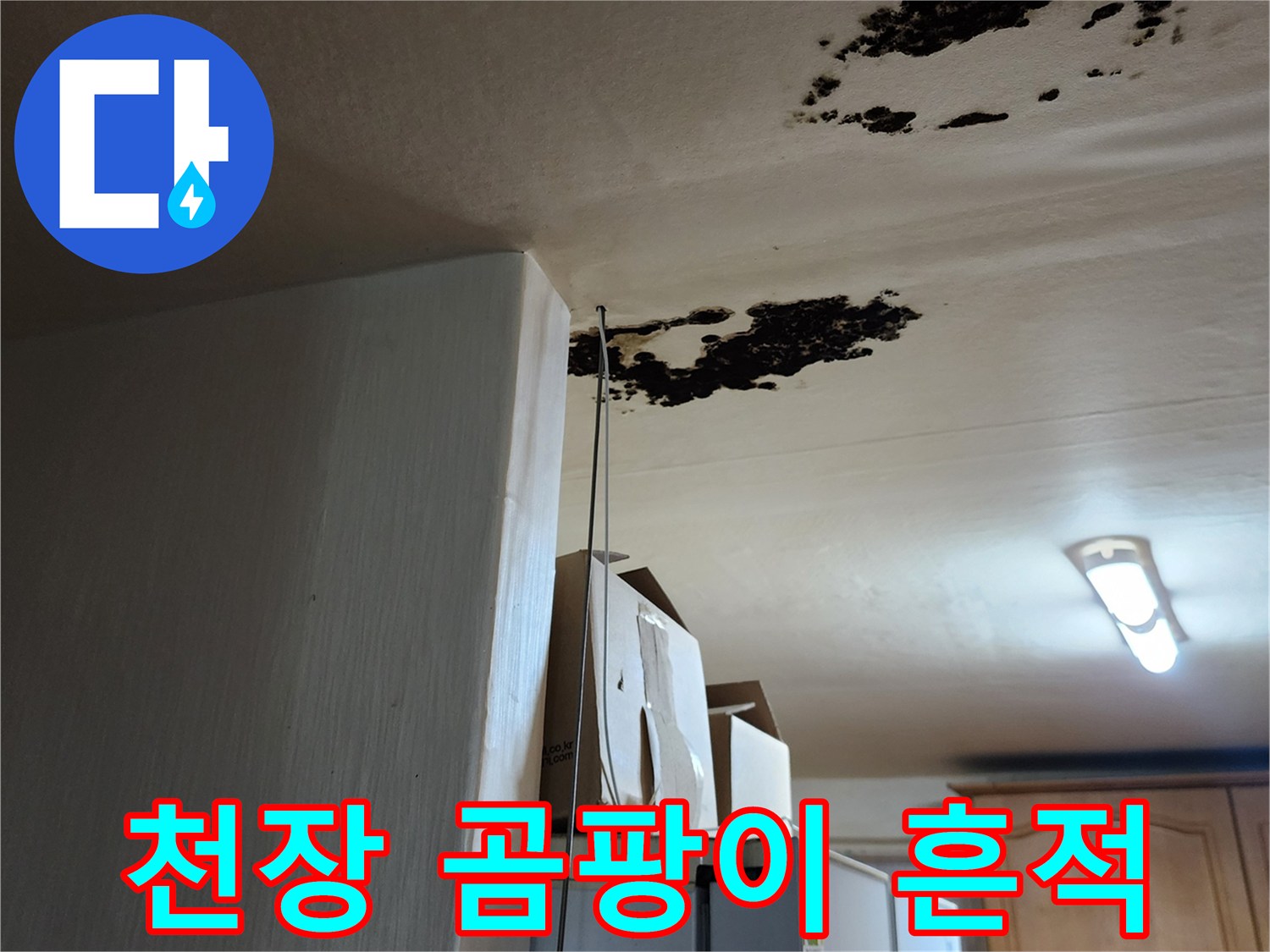 주방 천장 마감재에 나타난 검은색 곰팡이 오염 부위