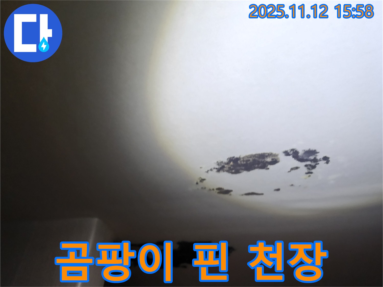 포천 구읍리 곰팡이 - 천장에 곰팡이가 심하게 핀 모습입니다.
