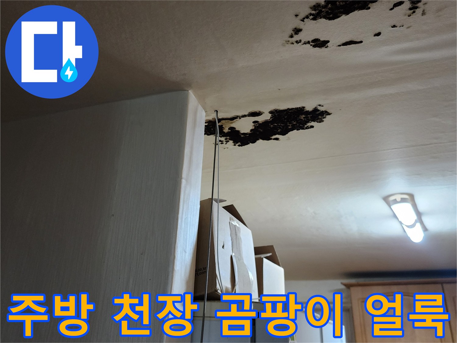 포천 구읍리 주방 천장에 발생한 검은 곰팡이와 물 얼룩 상태