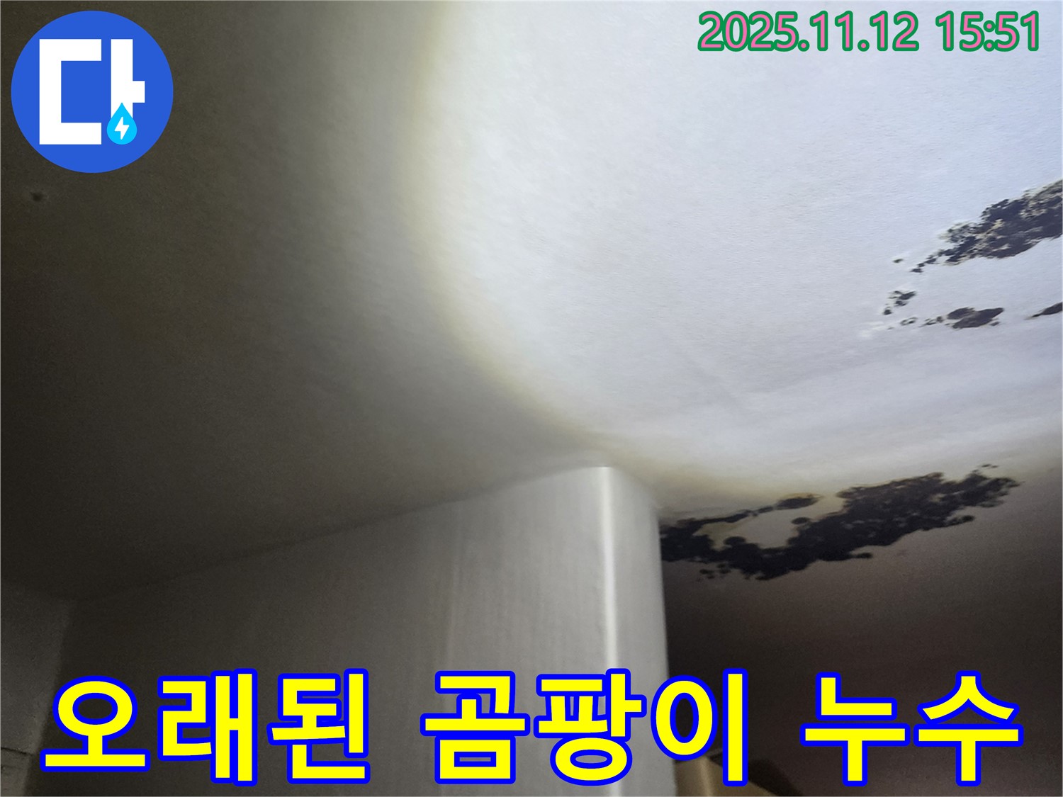 포천시 군내면 - 곰팡이가 심하게 핀 오래된 천장 누수 - 건물 전체로 확산될 우려가 있습니다