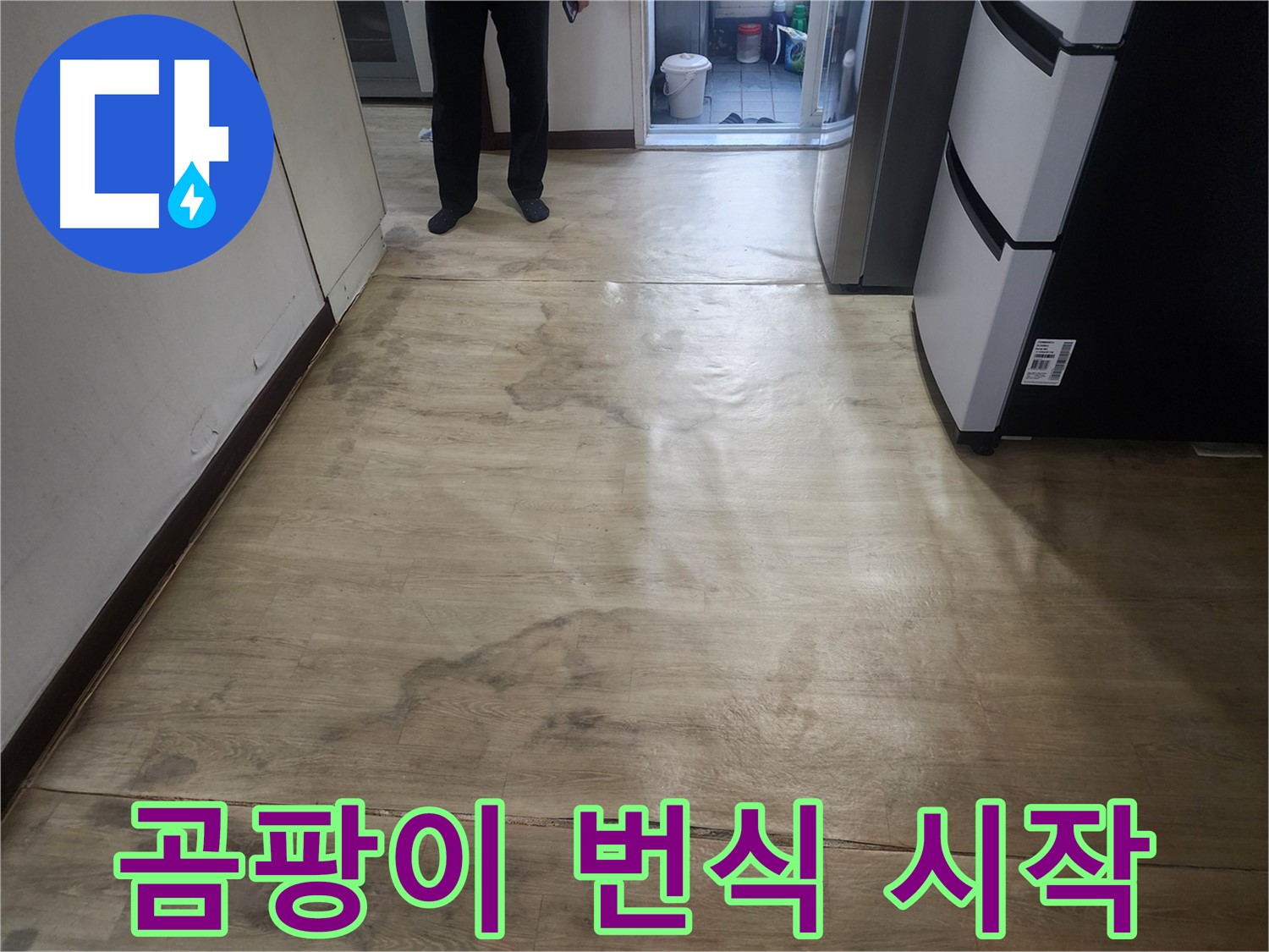 권선구 아파트 누수 - 장판 밑 물, 곰팡이 번식 시작 의심 - 즉시 점검 필요