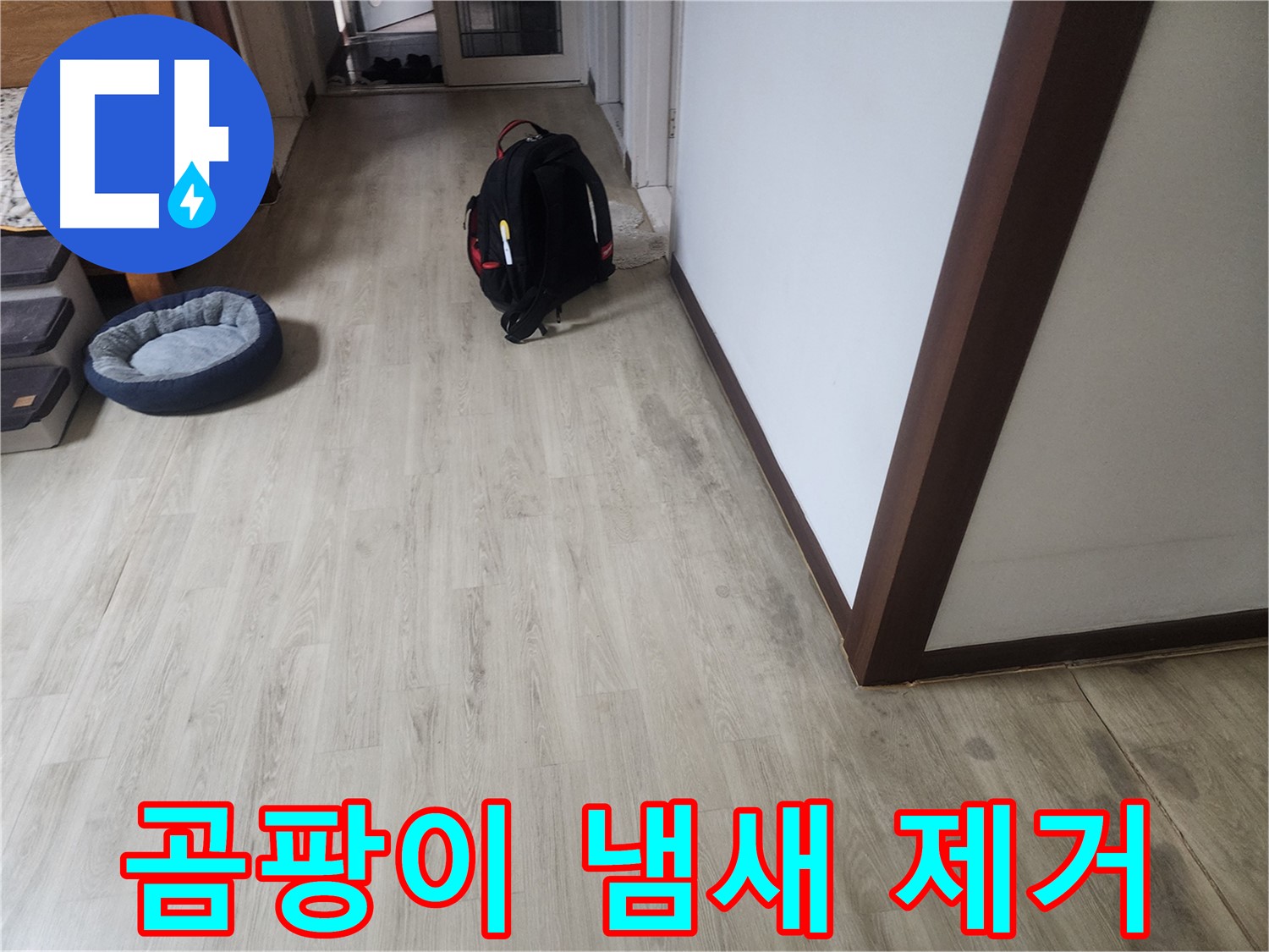 권선동 두산동아 아파트 - 장판 밑 곰팡이 냄새 제거