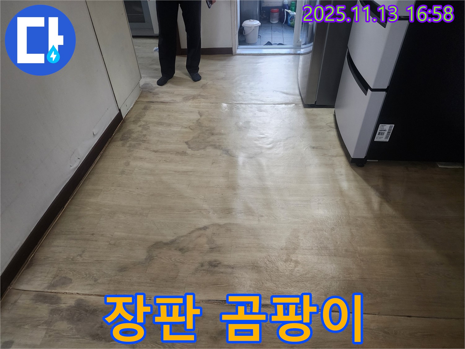 권선동 두산동아아파트 누수 - 장판 밑 곰팡이 발생, 누수 심각성 확인