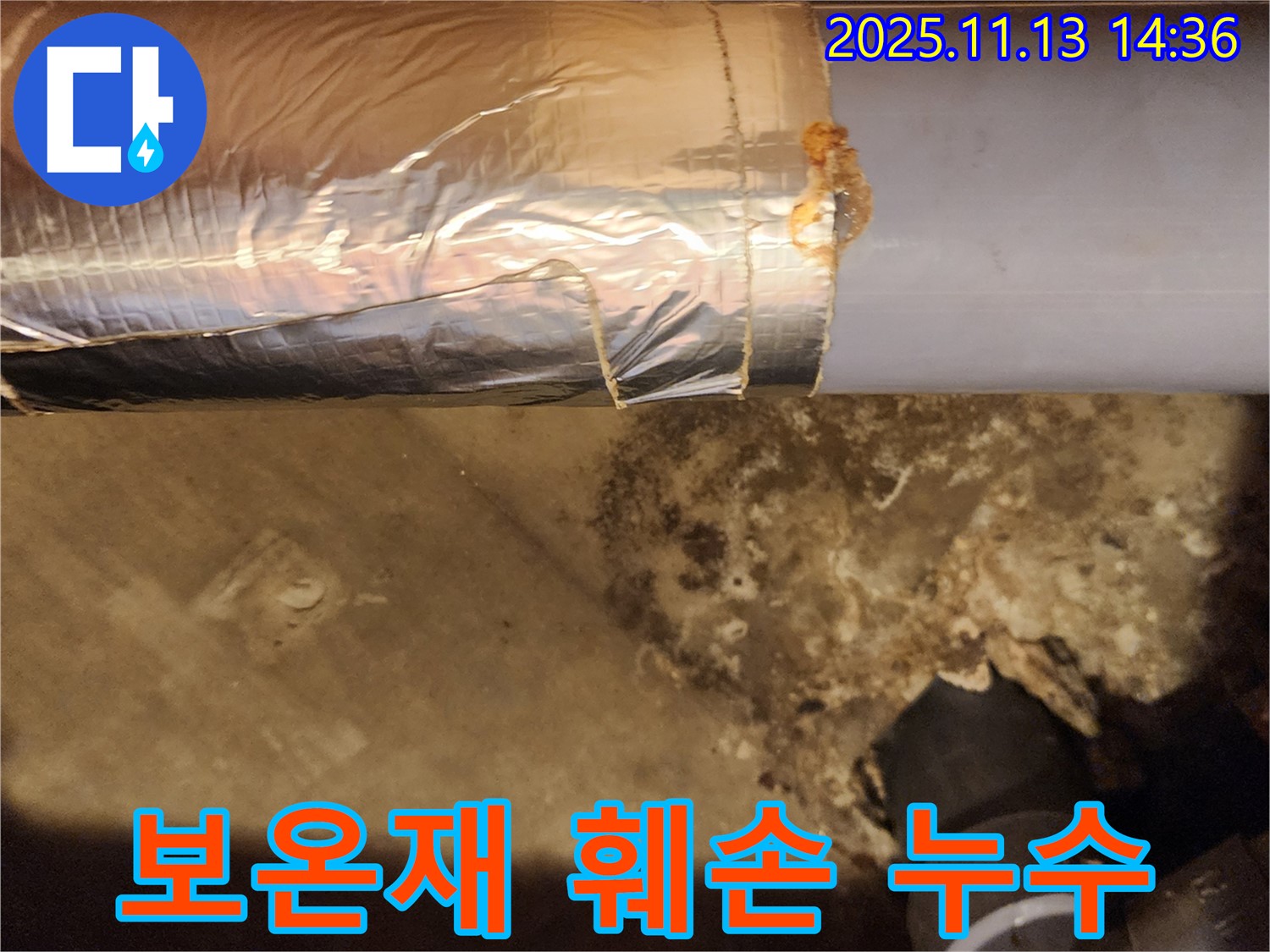 포천 군내면 유교리 누수 현장 - 훼손된 배관 보온재와 누수