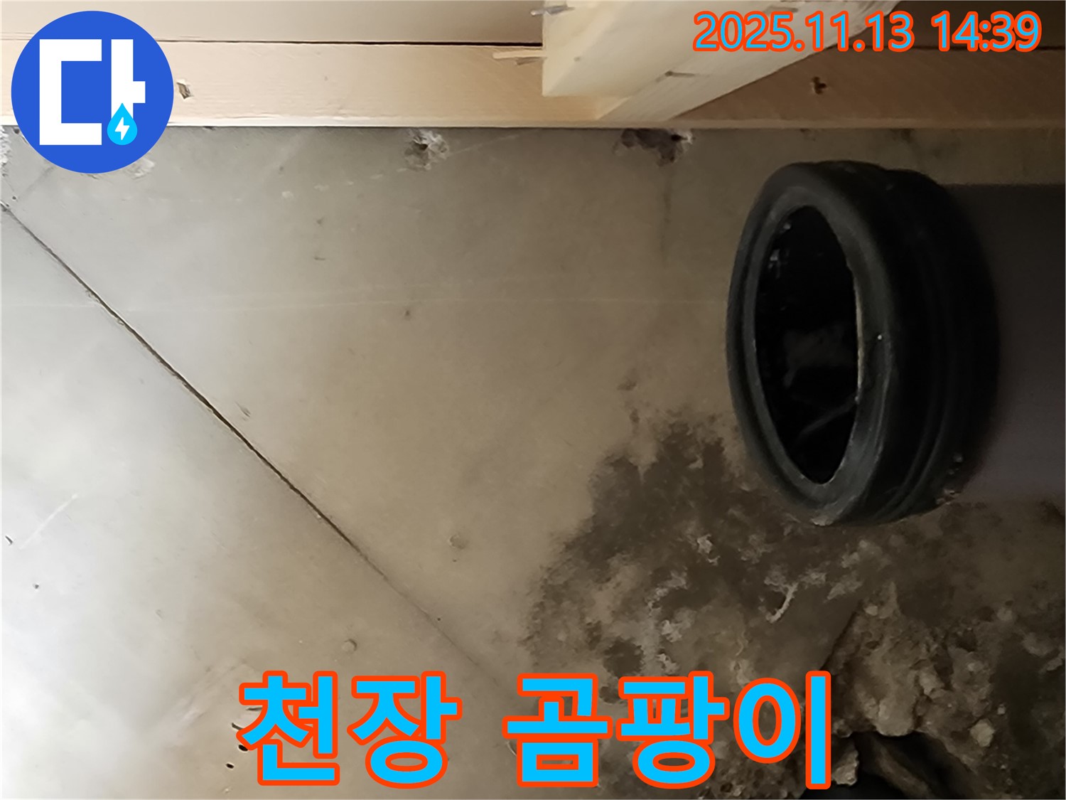 포천시 군내면 유교리 누수 - 낡은 천장재와 배관 주변 곰팡이