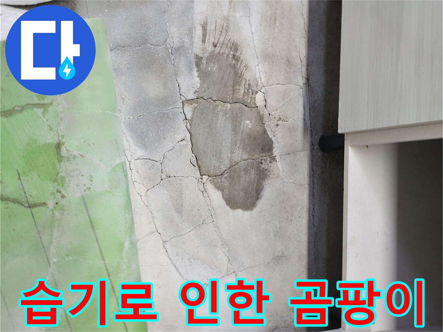 포천 누수탐지 - 신읍동 선경빌라 싱크대 주변 습기로 인한 곰팡이 발생