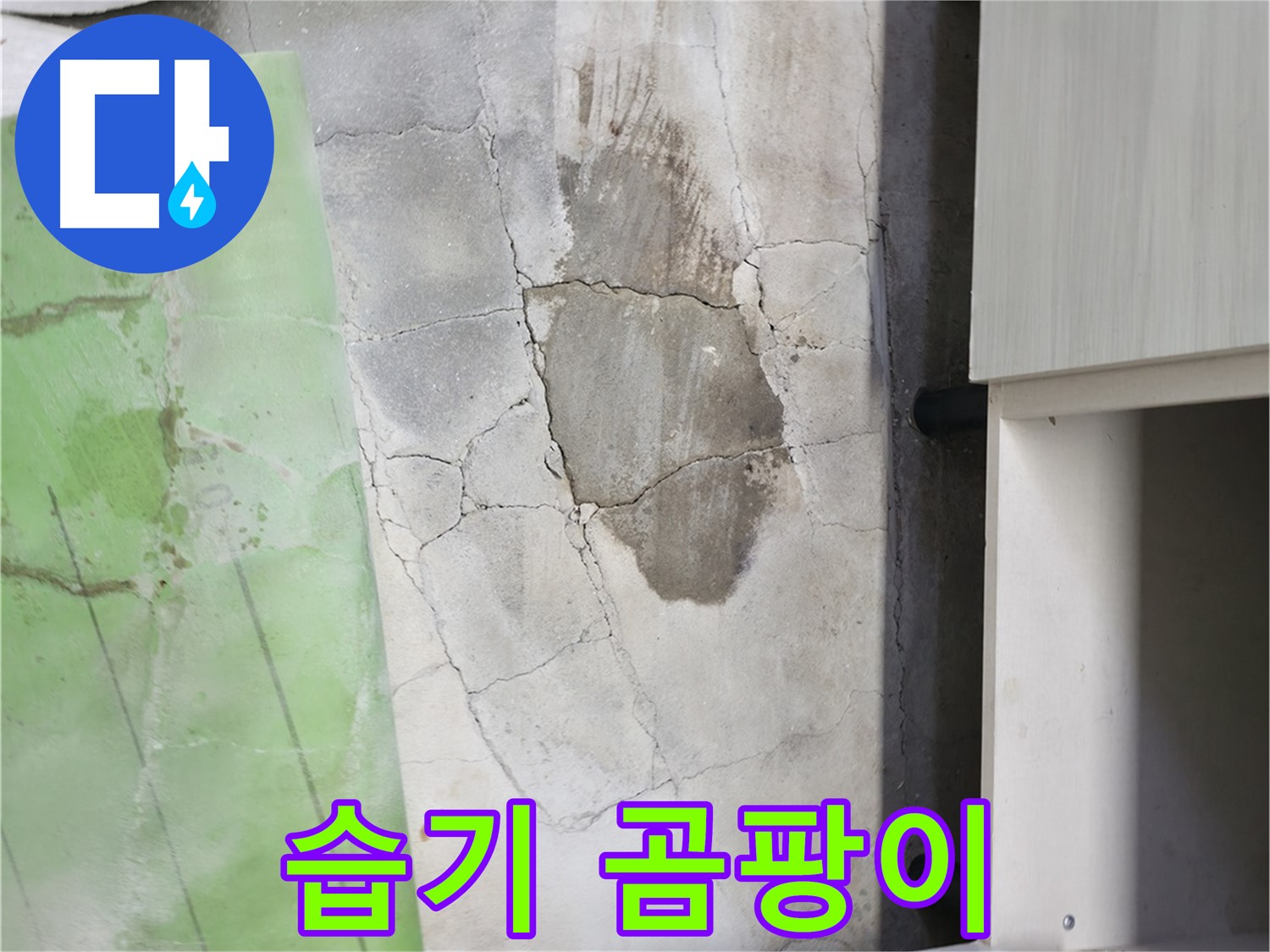포천 신읍동 - 싱크대 주변 습기, 곰팡이가 번식하기 쉬운 환경