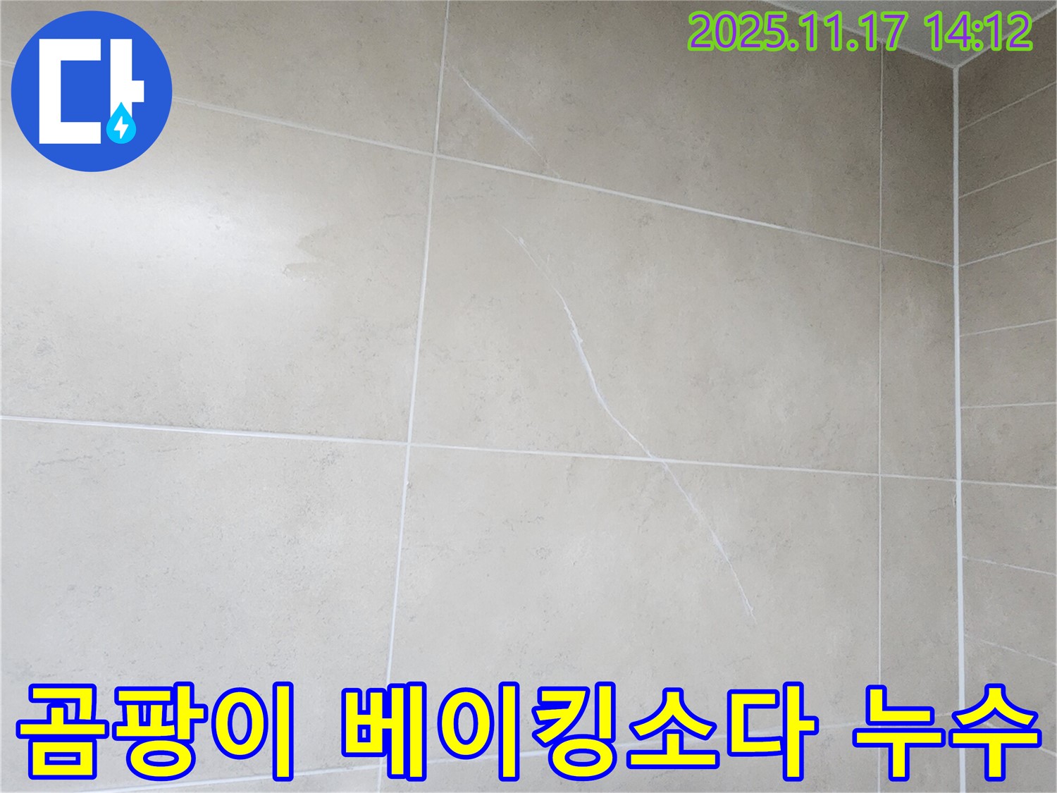군내면 욕실 타일 - 베이킹소다 청소 후에도 곰팡이와 누수의 연관성 분석