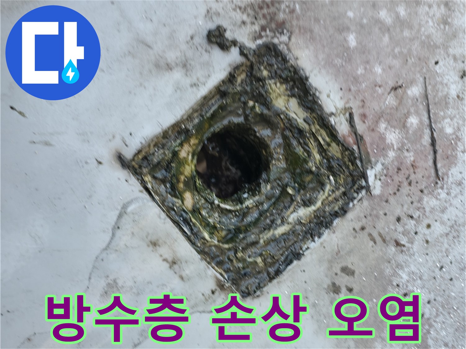 독산동 옥상 드레인 주변 방수층 손상 - 심각한 오염으로 인한 누수 발생