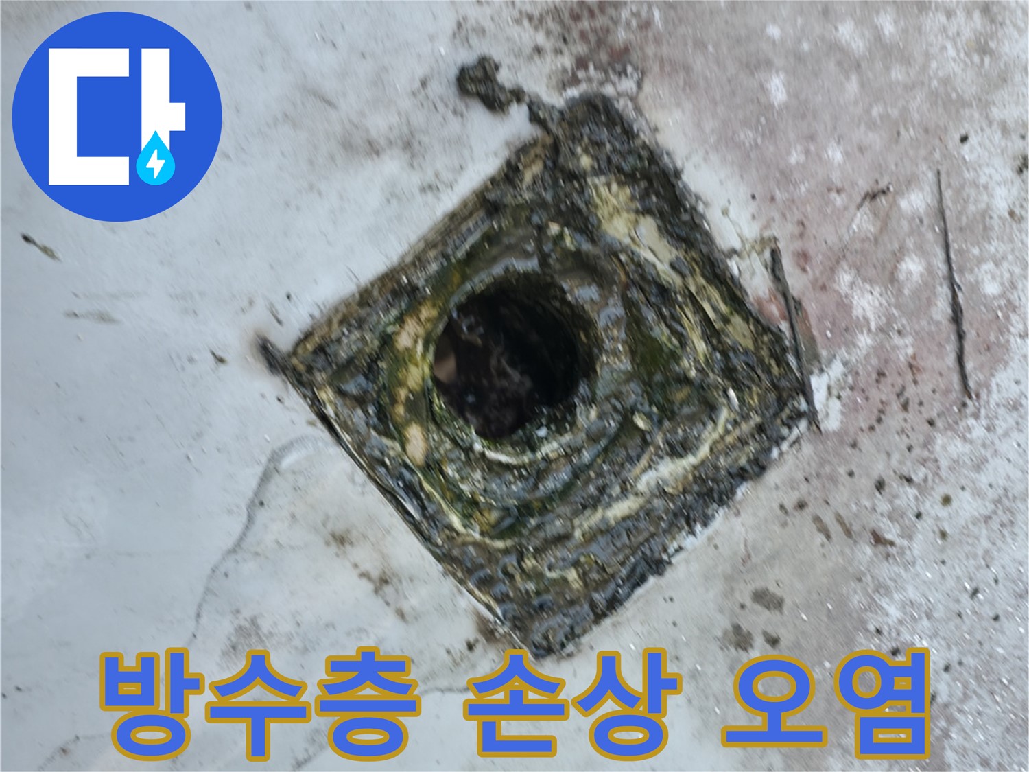 독산동 옥상 드레인 주변 방수층 손상 - 심한 오염으로 인한 누수