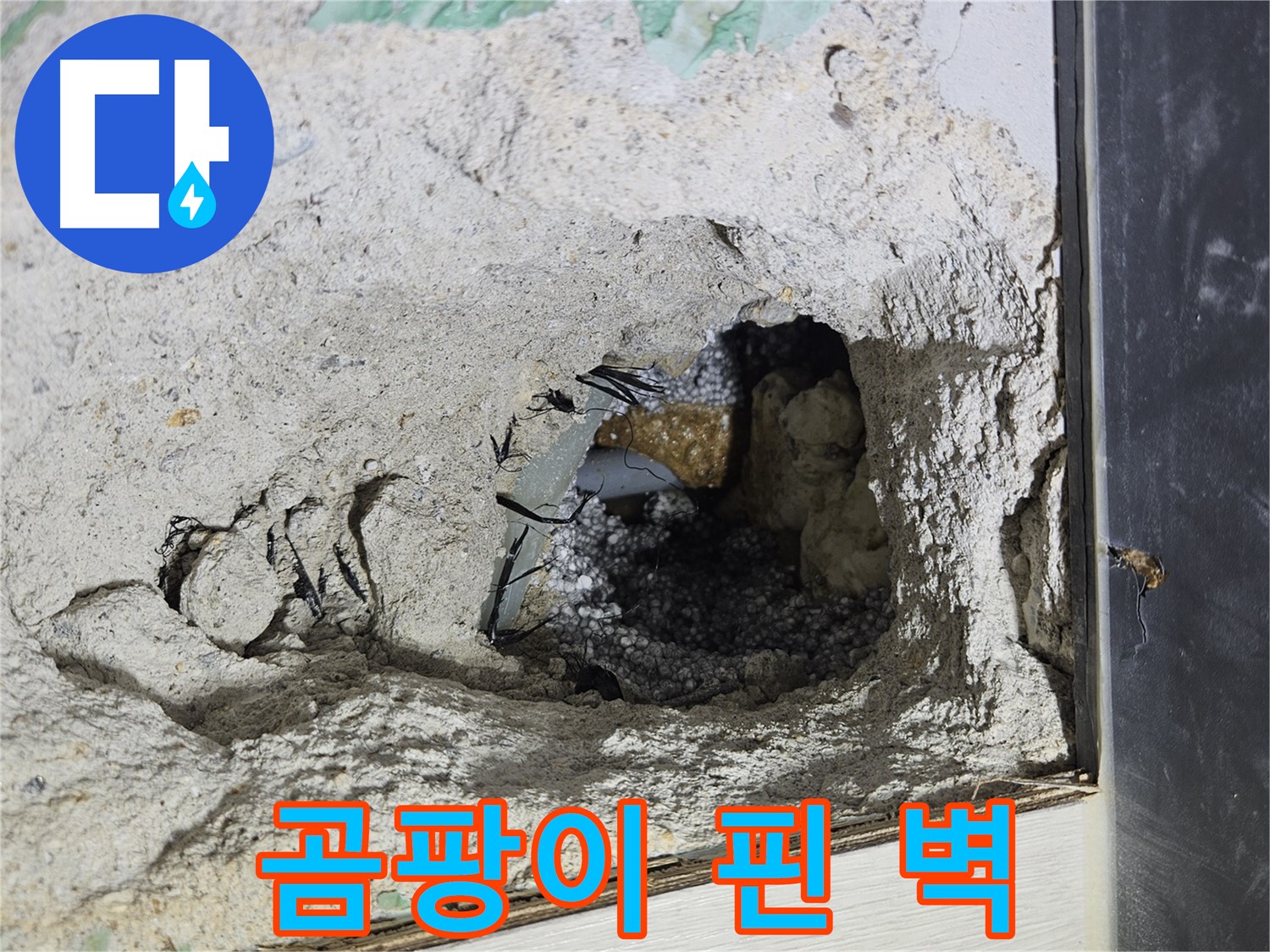 이천 마장면 누수 - 콘크리트 속 곰팡이 핀 벽, 누수의 범인은 바로 너!