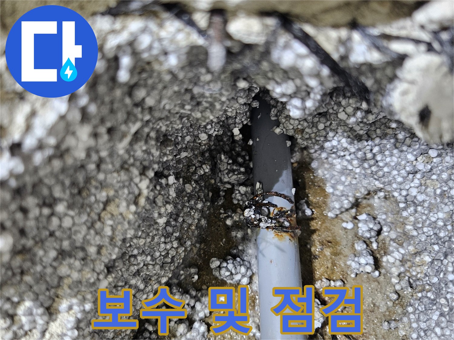 이천시 아리역로 - 낡은 배관 누수, 꼼꼼 보수 및 점검 완료