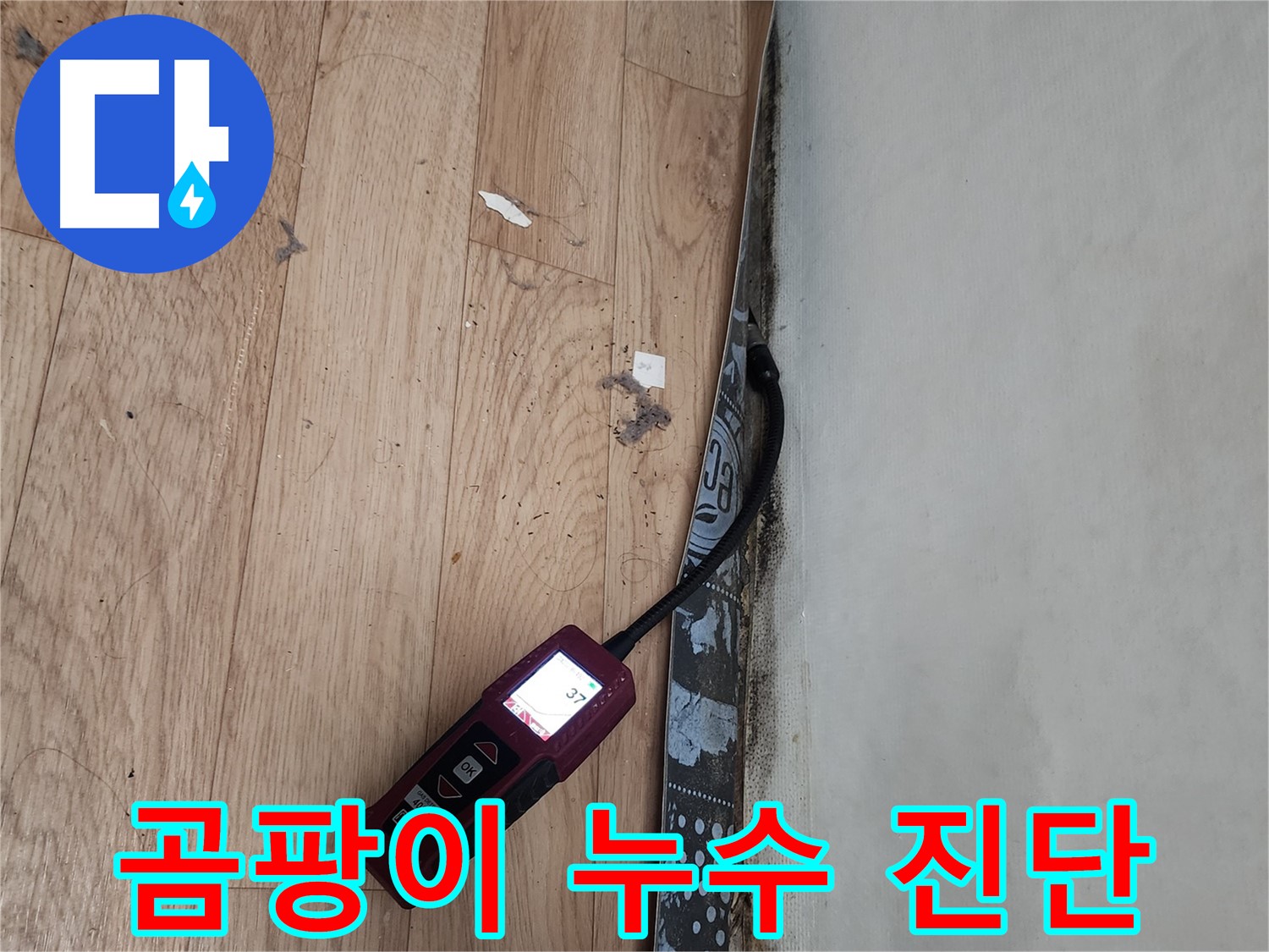 수원 누수탐지 전문가 - 곰팡이, 누수 문제 해결