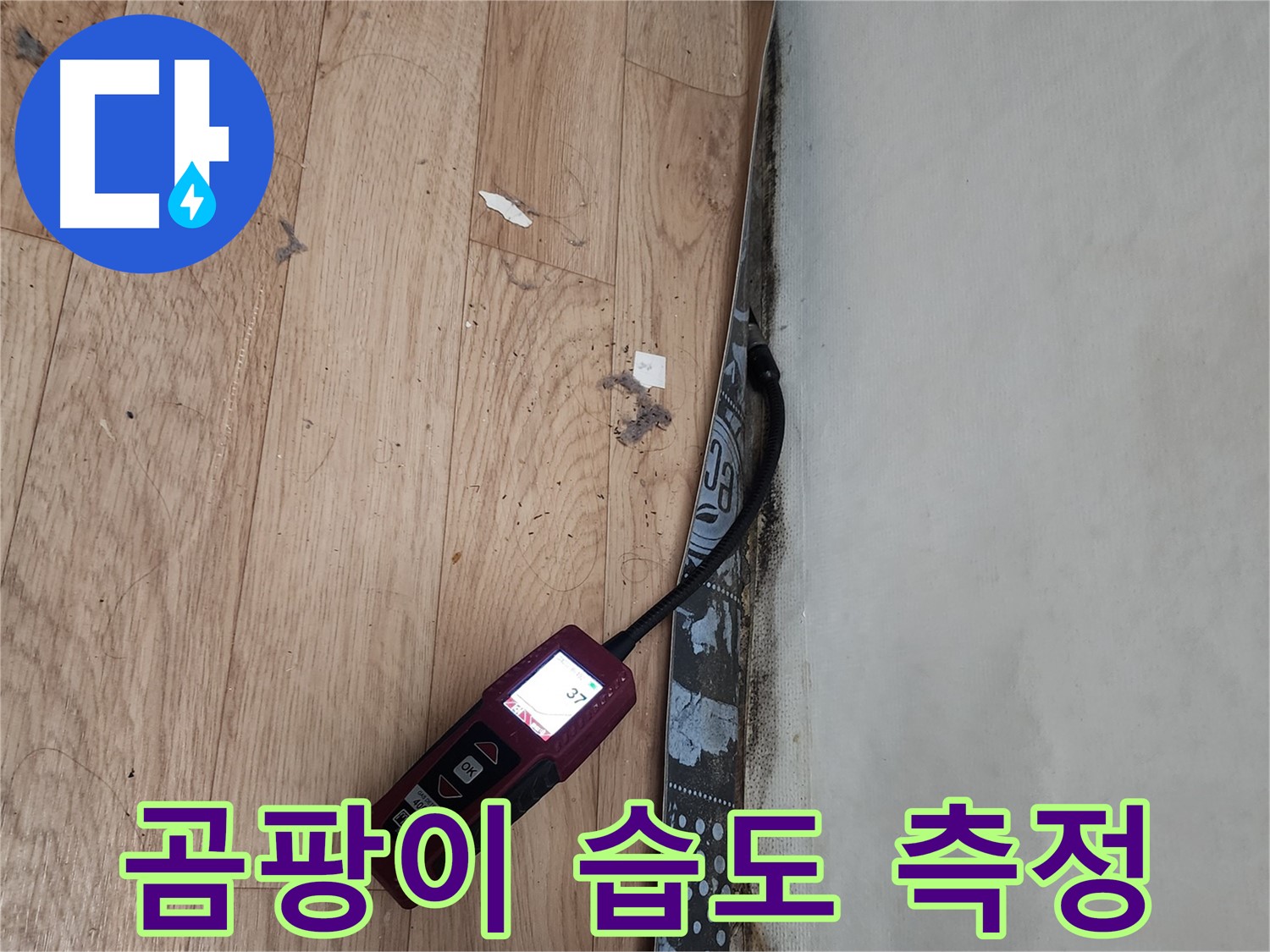 수원 장안구 누수 - 곰팡이 집중 발생 지역, 습도 측정으로 누수 진단
