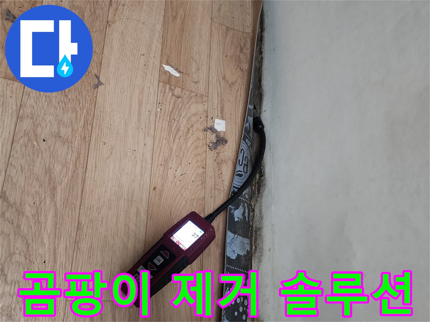 수원 정자동 누수 - 벽 곰팡이 누수 원인 심층 분석, 완벽 제거 솔루션 제공