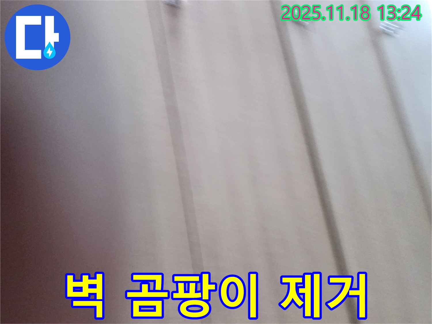 진목리 누수 - 벽에 곰팡이 꽃핌 문제, 누수 전문가가 완벽하게 제거하고 재발 방지까지!