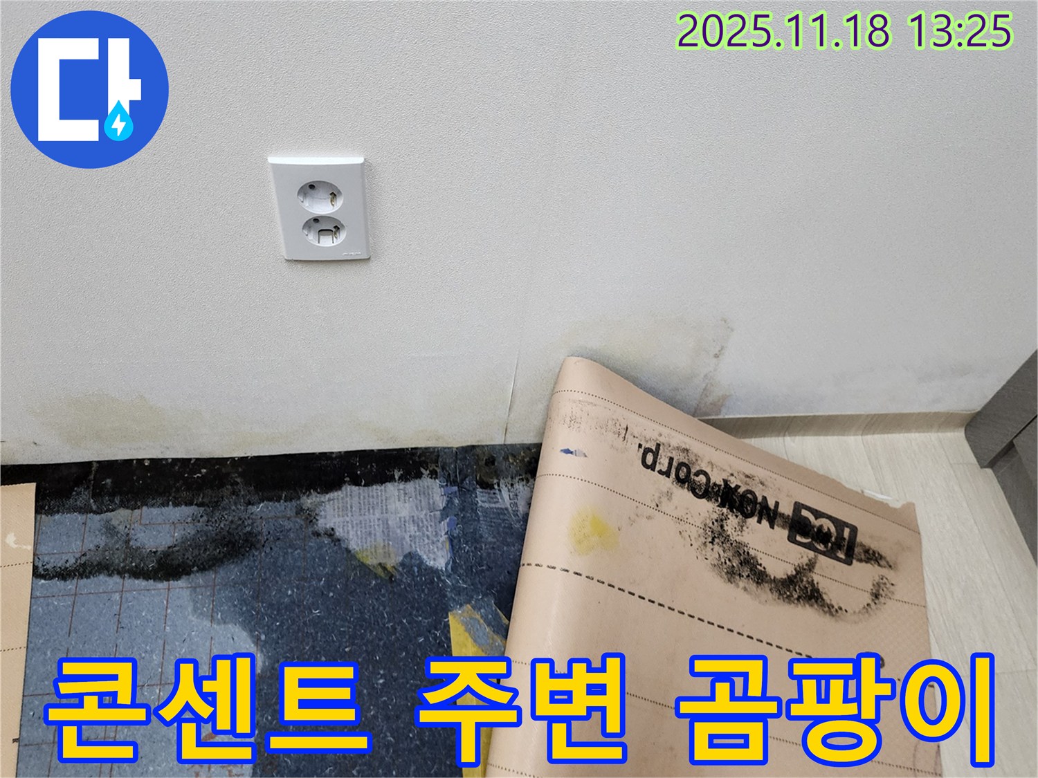 콘센트 주변 곰팡이 - 감전 위험! 건강을 위협하는 곰팡이! 즉시 제거하고 누수 원인을 해결하세요 - 포천 누수