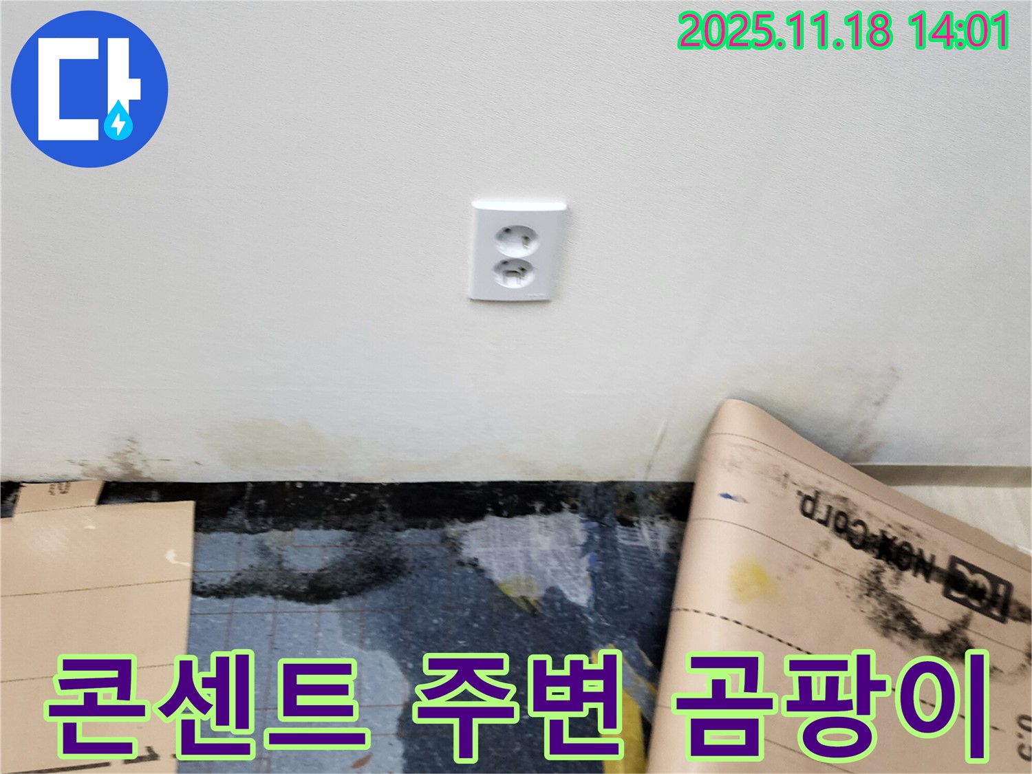 콘센트 주변 벽 곰팡이 발생 - 포천시 내촌면 진목리 누수, 긴급 방문 후 곰팡이 완벽 제거 시공