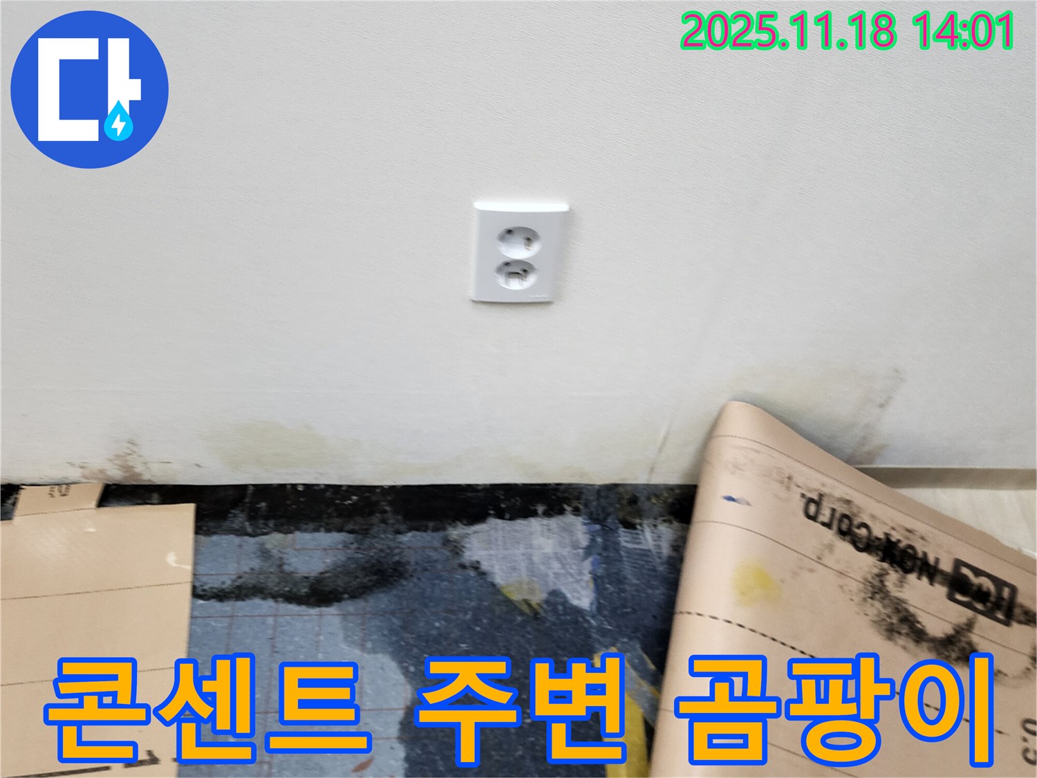 콘센트 주변 벽 곰팡이 확산 - 포천시 내촌면 진목리 누수, 곰팡이 확산 긴급 차단