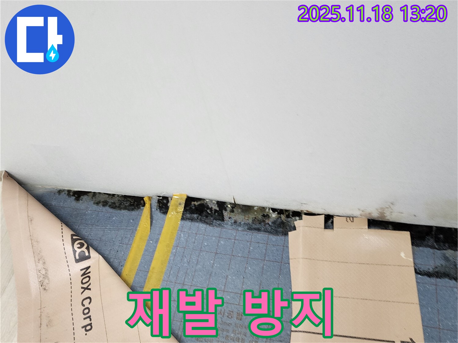 포천 내촌 누수, 장판 밑 곰팡이 재발 방지 - 확실한 시공과 사후 관리