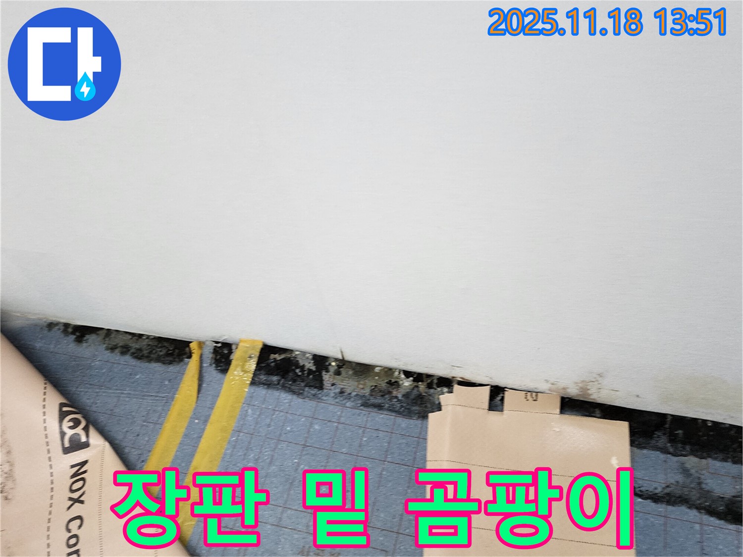 포천시 내촌면 진목리 누수 현장 - 장판 밑 곰팡이는 심각한 누수의 신호 - 긴급 점검을 통해 문제를 해결하세요.