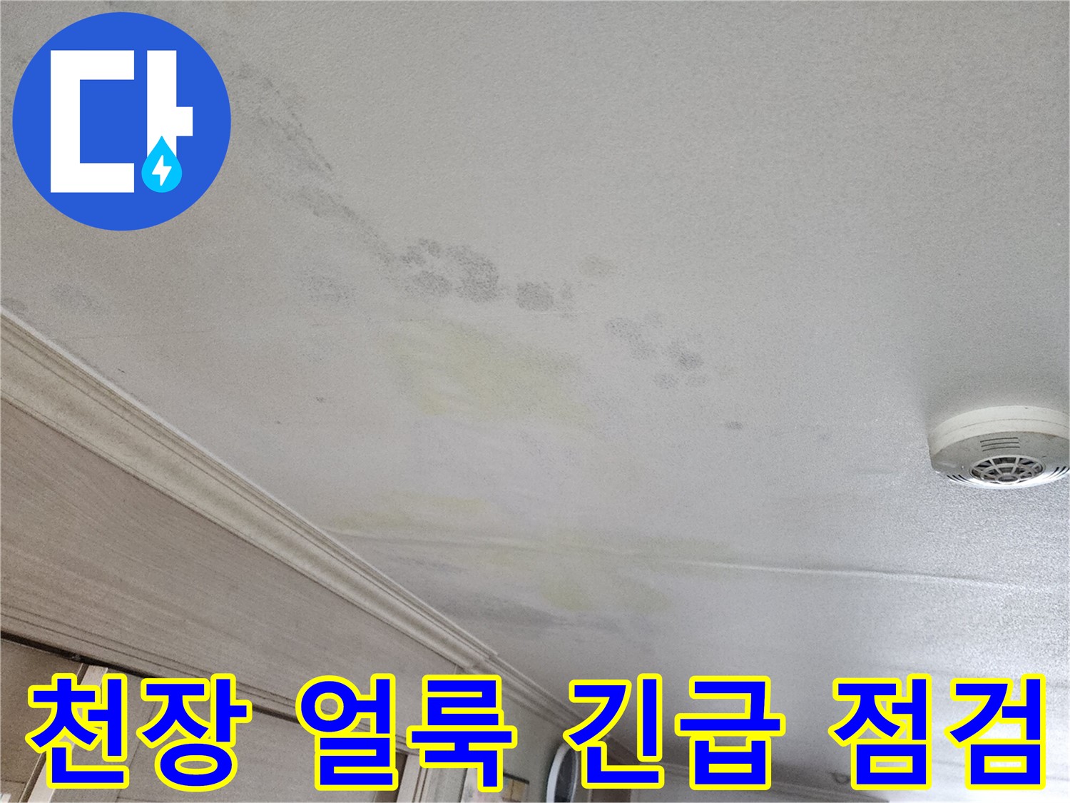 철산동 두산위브 아파트 천장 얼룩 - 누수 긴급 점검 진행 모습