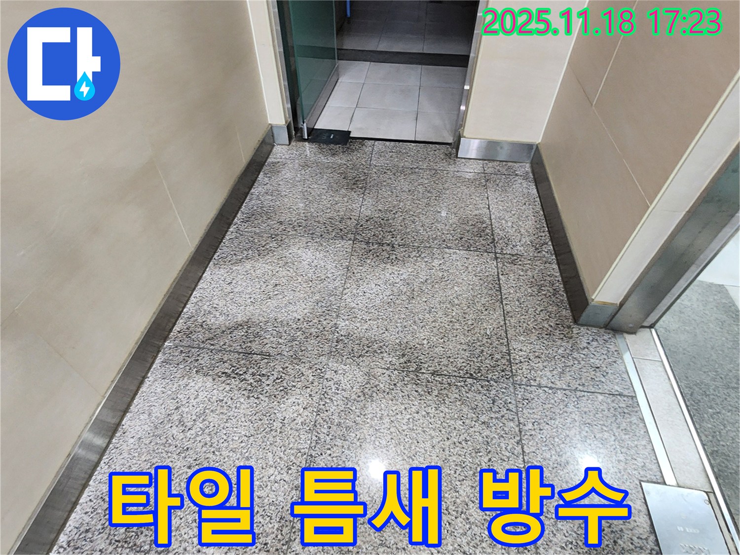 포천 내촌 타일 틈새 물기 - 곰팡이 발생 전 완벽 차단 및 친환경 방수 시공으로 안심!