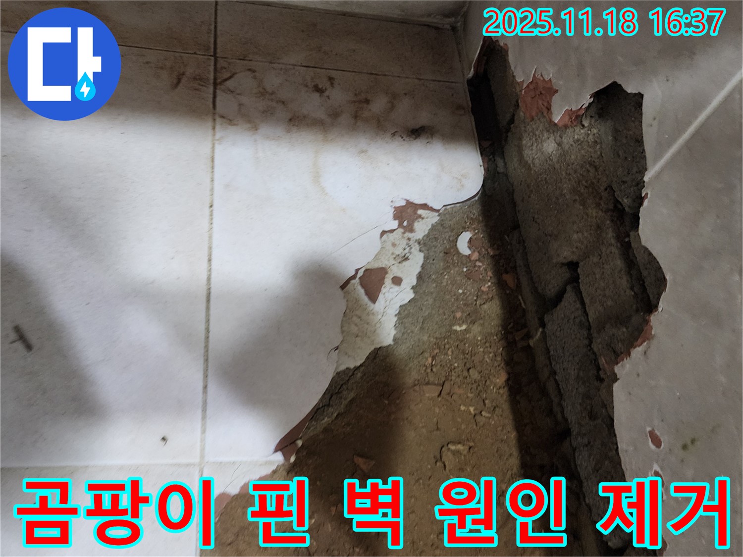 포천시 내촌면 소학리 누수 - 곰팡이가 핀 벽의 누수 원인부터 곰팡이 제거까지 완벽하게 해결했습니다.