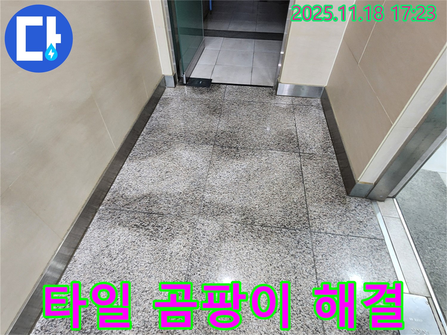포천시 내촌면에서 발생한 타일 곰팡이 문제 - 누수탐지 전문 업체가 완벽하게 해결합니다.