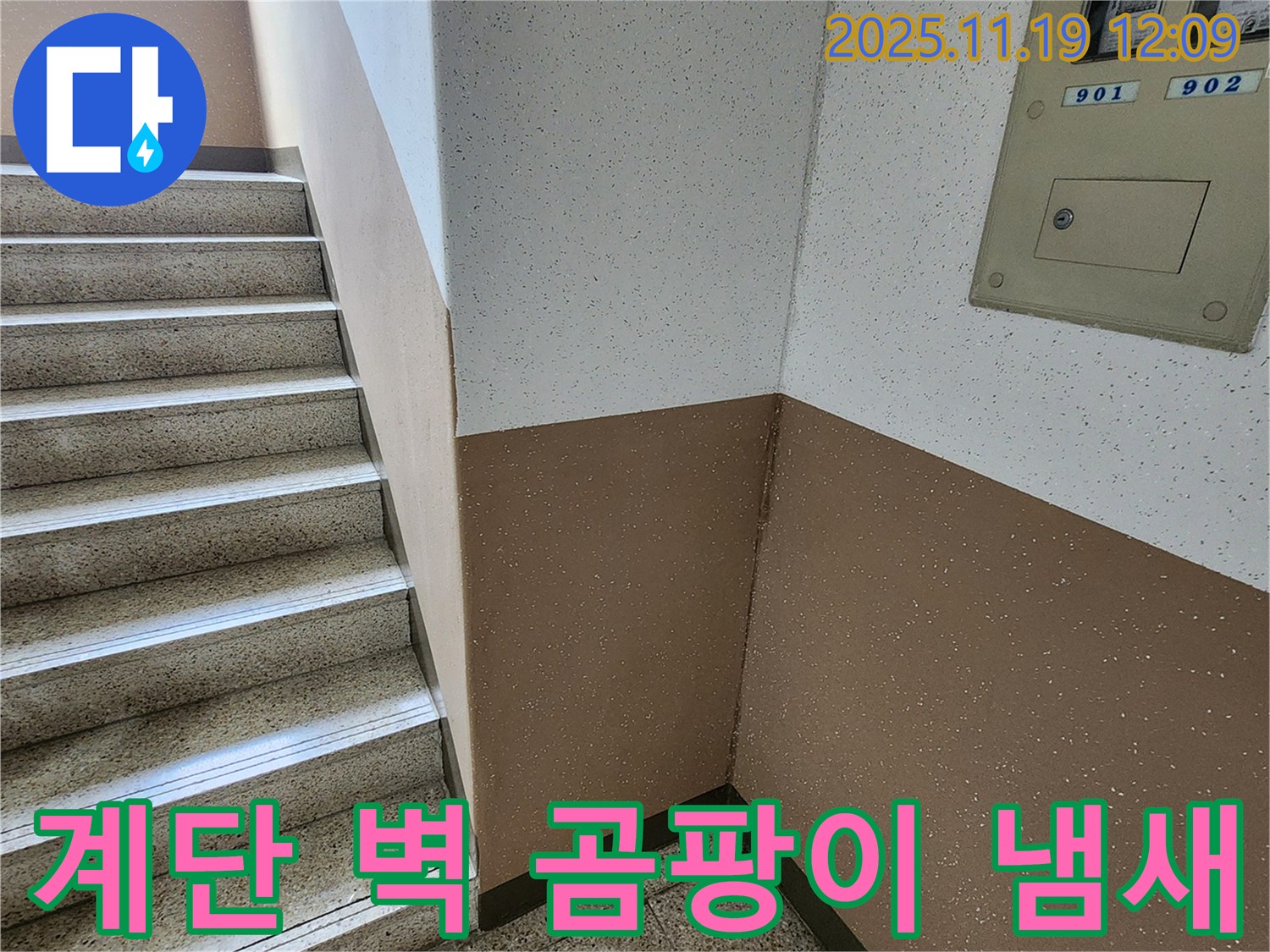 포천 아파트 누수 - 내촌면 마명리 계단 벽 곰팡이 냄새, 긴급 원인 분석