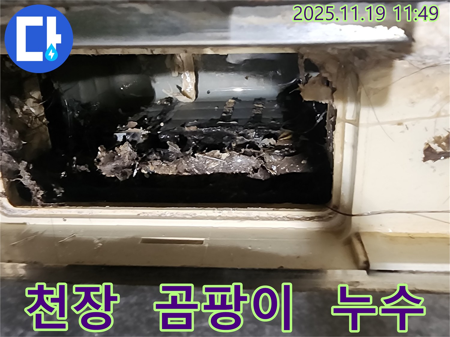 포천시 내촌면 마명리 천장에 핀 곰팡이 - 누수의 명백한 증거