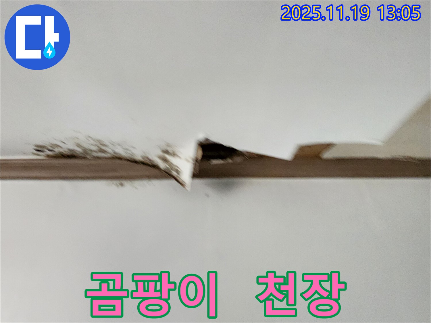 내촌면 내리 곰팡이 천장 - 곰팡이와 함께 내려앉은 천장의 모습입니다 - 건강에 해롭습니다.