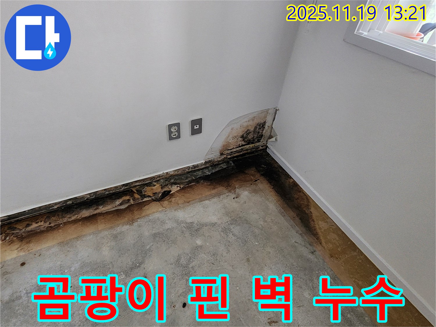 내촌면 주택 누수 - 곰팡이 핀 벽, 누수탐지 전문가 시공