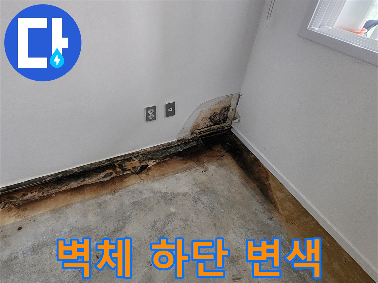 누수로 인해 곰팡이가 발생한 벽면과 바닥 경계 부위
