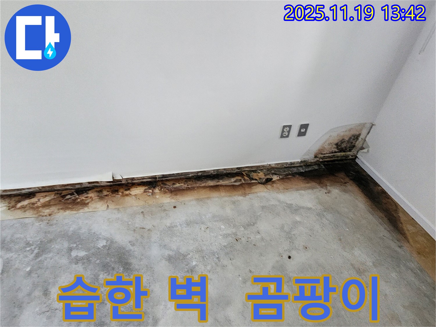 습한 벽과 곰팡이 - 내촌리 누수 해결이 우선