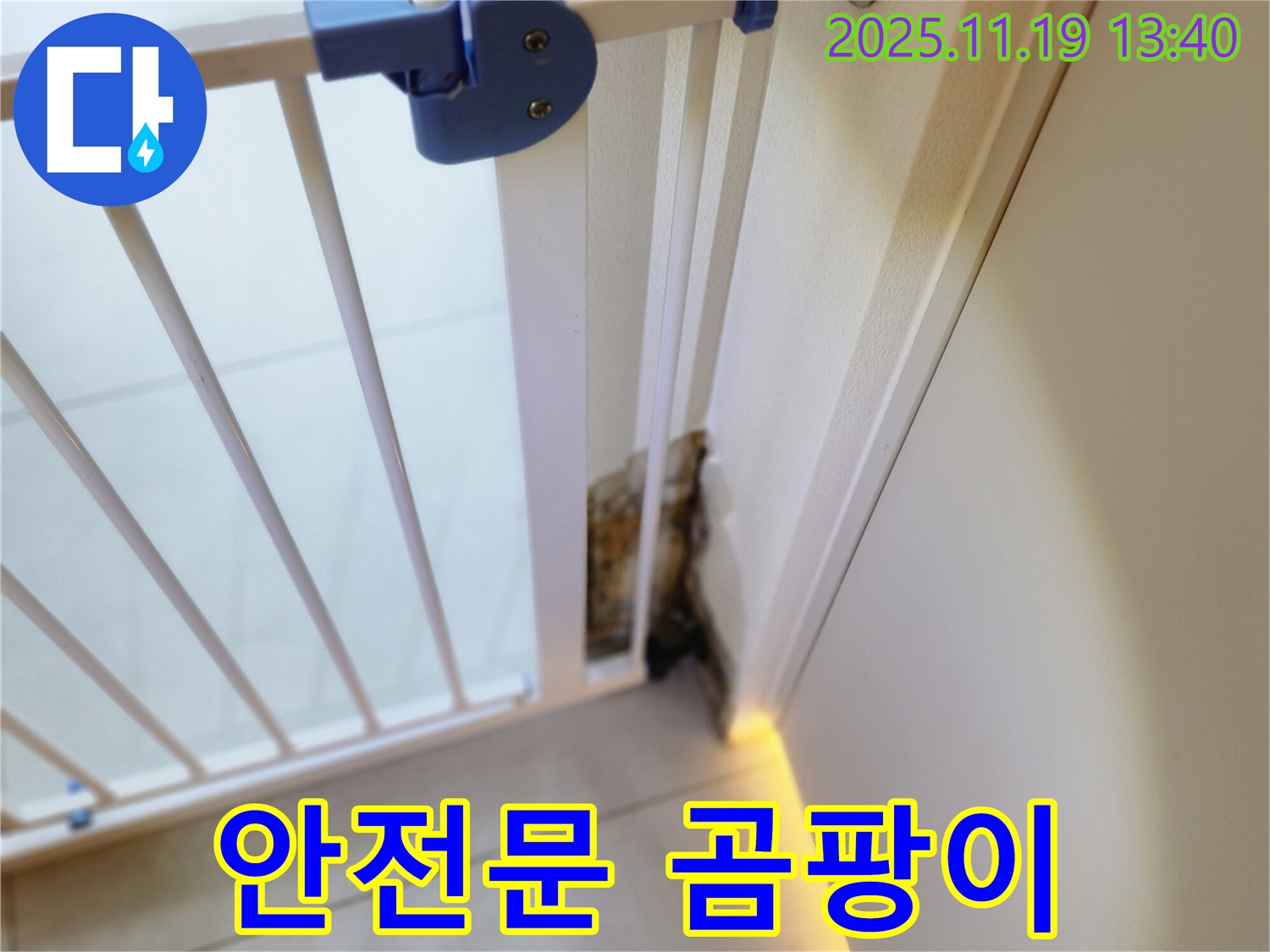 안전문 주변 벽면 곰팡이 - 누수로 인해 안전문 주변 벽면에 곰팡이가 발생한 모습입니다.
