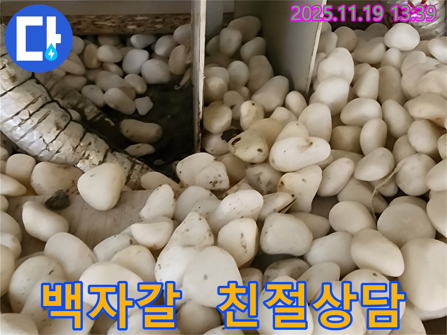 포천시 내촌면 누수 - 백자갈 아래 숨겨진 누수, 친절한 상담으로 궁금증 해결, 부담 없이 문의하세요!